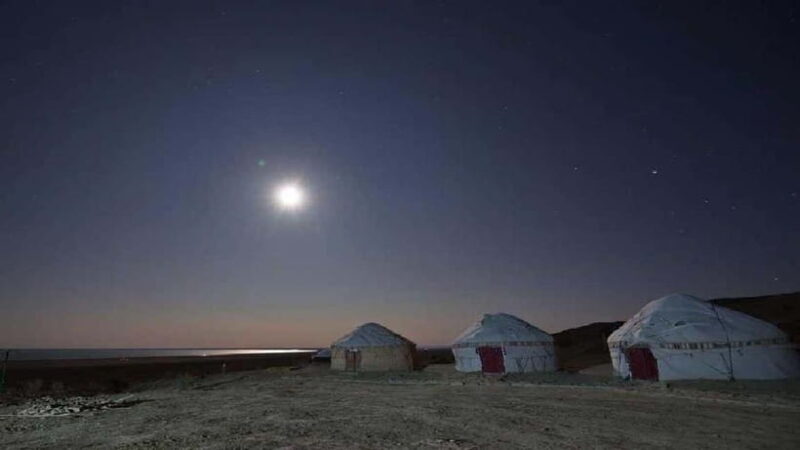 From Khiva To Aral Sea 2-Days One Night In Yurt Stay - Who Will Love This Experience?