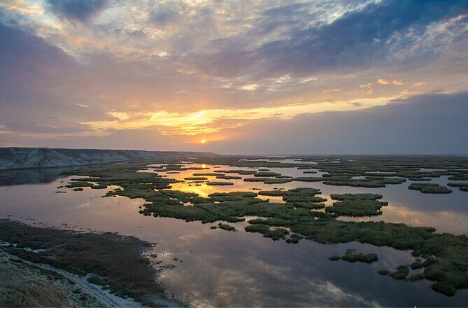 From Khiva to Aral Sea: Overnight Yurt Adventure (2 Days) - The Significance of the Aral Sea and the Desert Shore