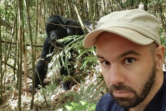 From Kigali: 10 Hour Day-trip Rwanda Gorilla Trekking with Lunch - Why This Tour Delivers Real Value