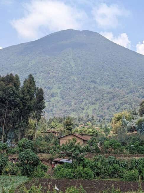 From Kigali: 2-Day Gorilla Trekking Safari in Rwanda - Day 1: Starting in Kigali and Reaching Volcanoes National Park