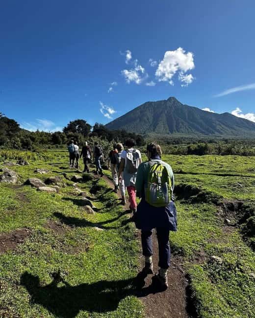 From Kigali: 2-Day Gorilla Trekking Safari in Rwanda - Transportation & Logistics