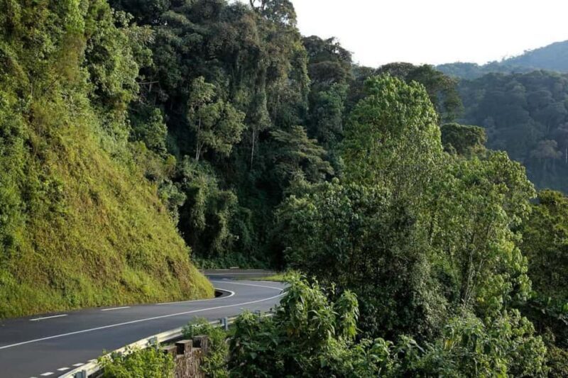 From Kigali: Canopy Walkway Day Trip in Nyungwe Forest - Key Points