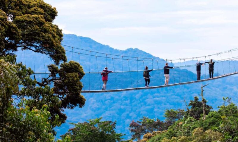 From Kigali: Canopy Walkway Day Trip in Nyungwe Forest - The Value of This Tour