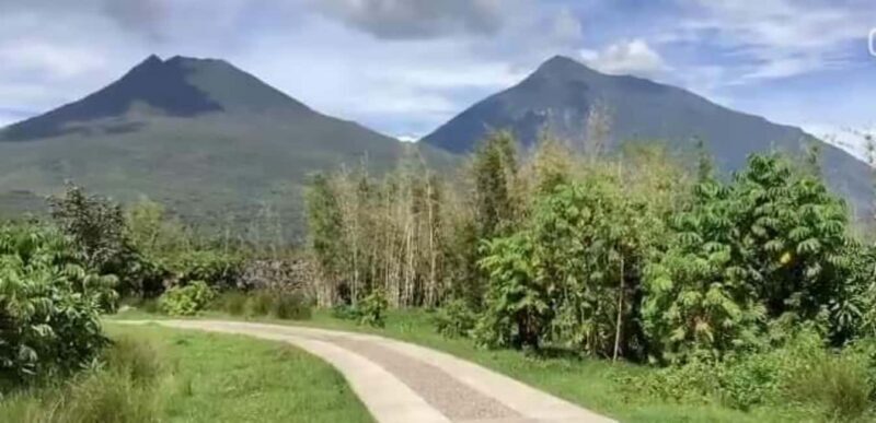 From Kigali, Rwanda: Guided gorilla trekking experience - Authentic Details from Reviewers