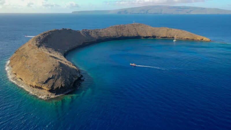 From Kihei: Molokini Crater and Turtle Town Snorkeling - FAQs