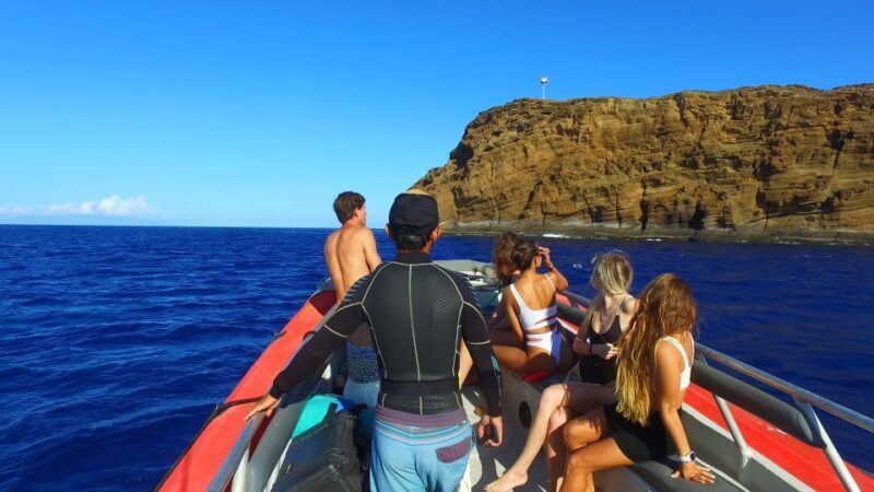 From Kihei: Molokini Crater and Turtle Town Snorkeling - Final Word