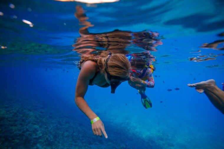 from-kihei-molokini-crater-and-turtle-town-snorkeling