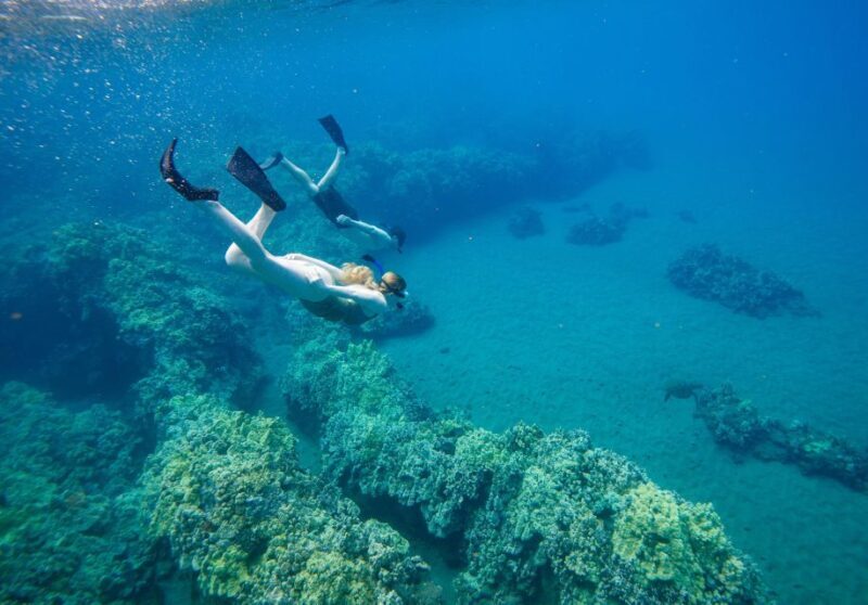 From Kihei: Molokini Snorkel 2-Hour Adventure - From Kihei: Molokini Snorkel 2-Hour Adventure – An Honest Look