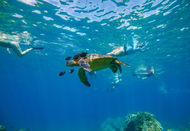 From Kihei: Molokini Snorkel 2-Hour Adventure - The Value of this Experience