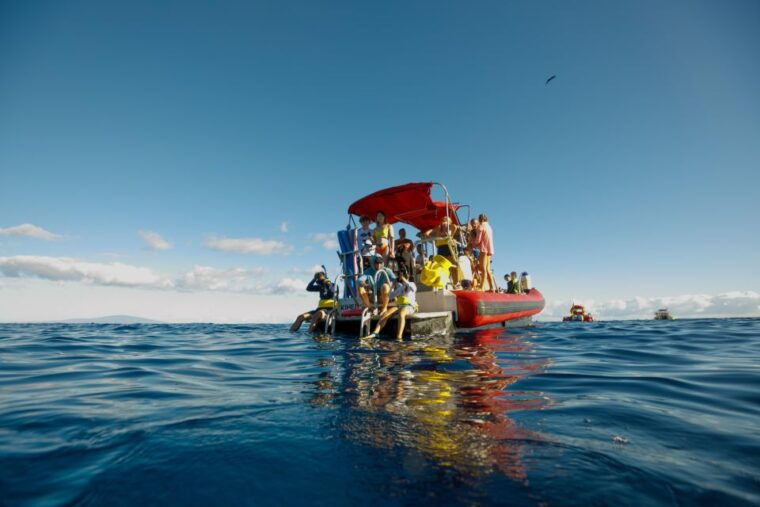 from-kihei-molokini-snorkel-and-whale-watching