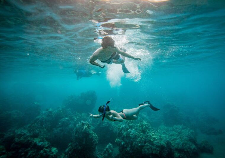 from-kihei-molokini-snorkel-and-whale-watching