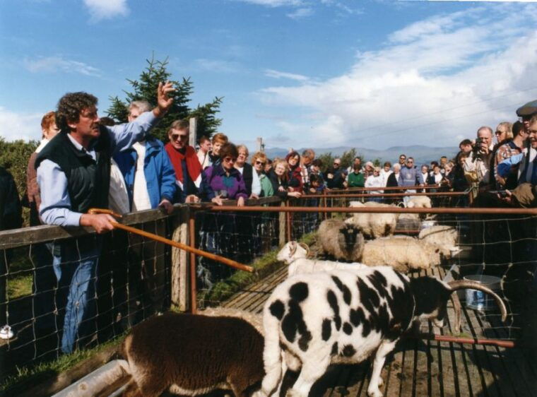 from-killarney-ring-of-kerry-mountain-road-1-day-bus-tour