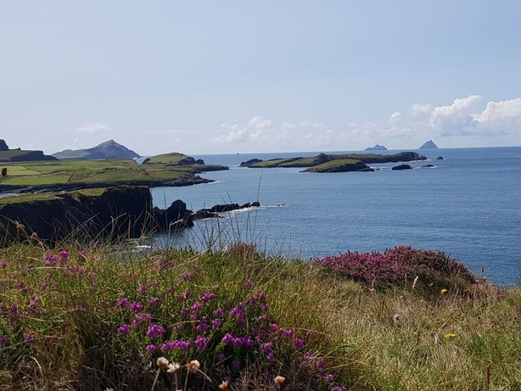 from-killarney-ring-of-kerry-mountain-road-1-day-bus-tour