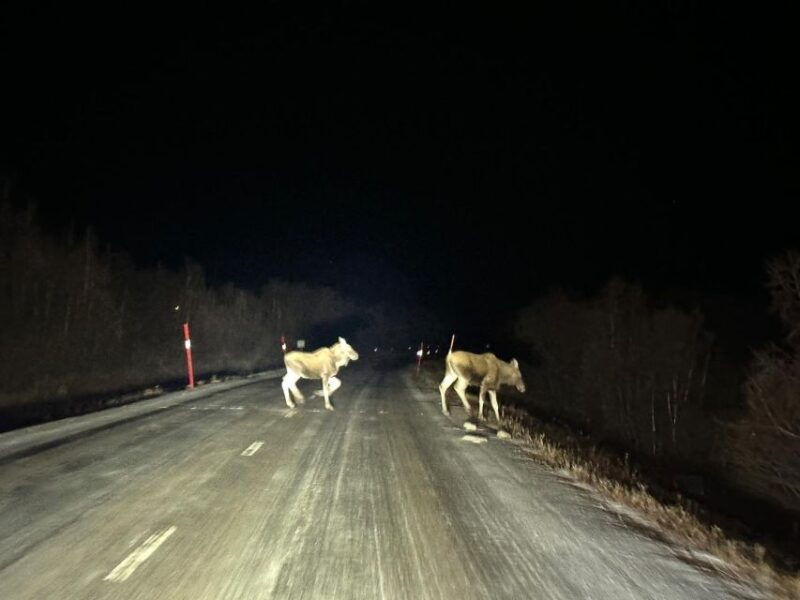 from-kiruna-abisko-national-park-northern-lights-tour