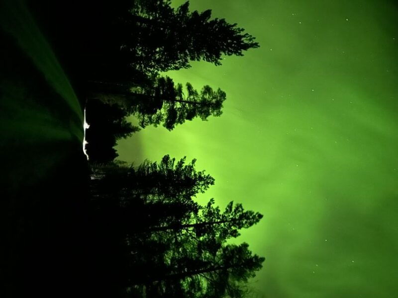 from-kiruna-abisko-national-park-northern-lights-tour