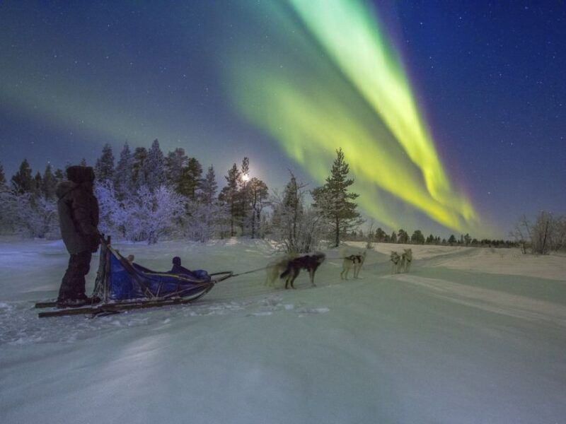 from-kiruna-northern-lights-guided-husky-sledding-adventure