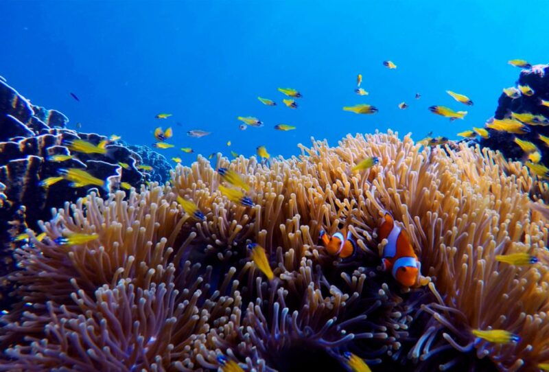 from-ko-kradan-private-long-tail-boat-adventure