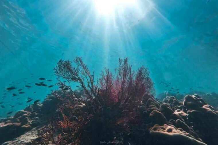 from-ko-kradan-private-long-tail-boat-adventure