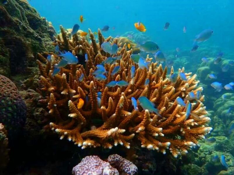 from-ko-libong-laoliang-islands-private-tour