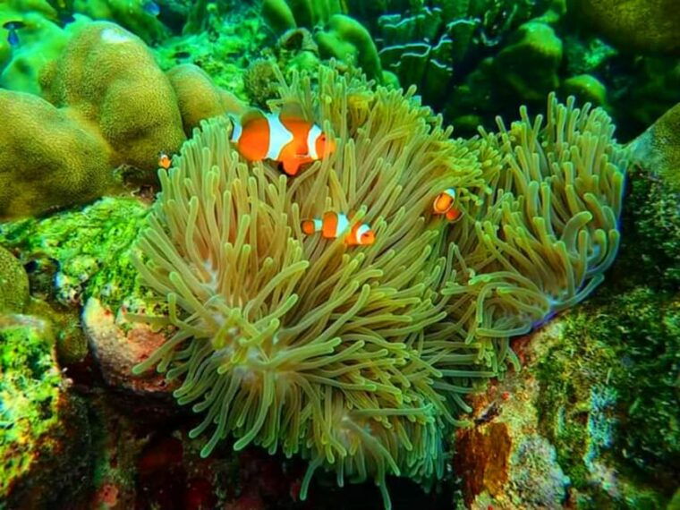 from-ko-libong-laoliang-islands-private-tour