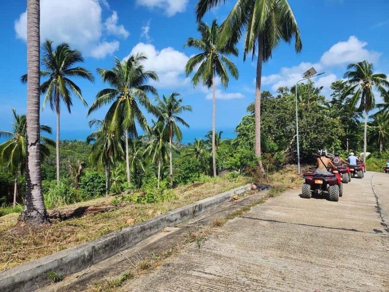 From Ko Pha Ngan: ATV Jungle Adventure Experience - Pricing & Value
