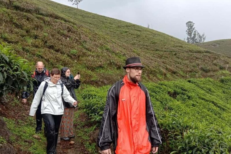 From Kochi:- 02 Days Munnar Hill Station & Nature Walk Tour - Key Points