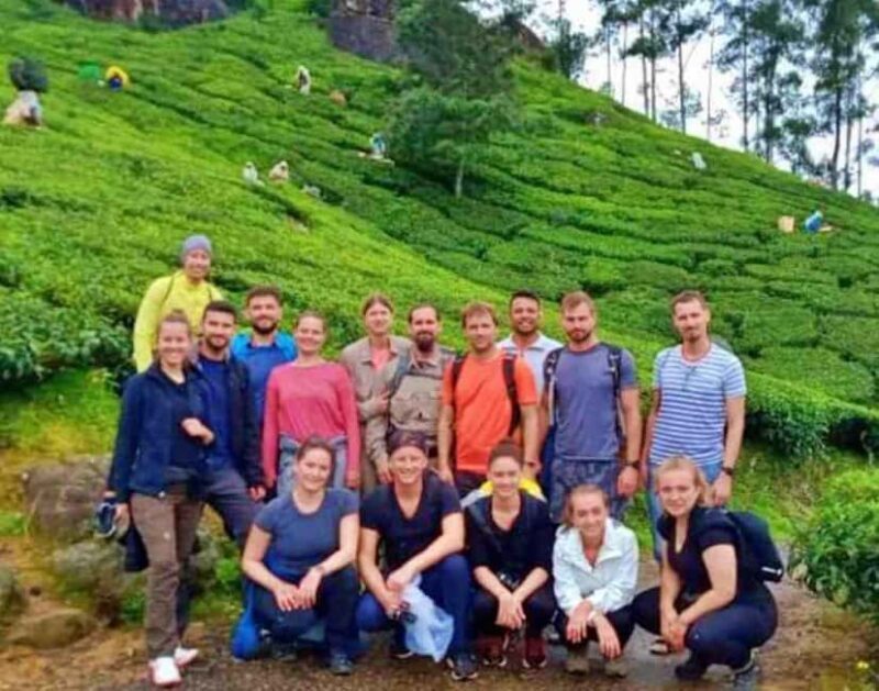 From Kochi:- 02 Days Munnar Hill Station & Nature Walk Tour - Introduction to the Munnar Experience