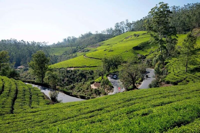 From Kochi:- 02 Days Munnar Hill Station & Nature Walk Tour - Practical Details and Logistics