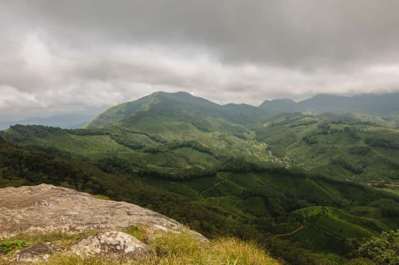 From Kochi:- 02 Days Munnar Hill Station & Nature Walk Tour - Who This Tour Is Best For