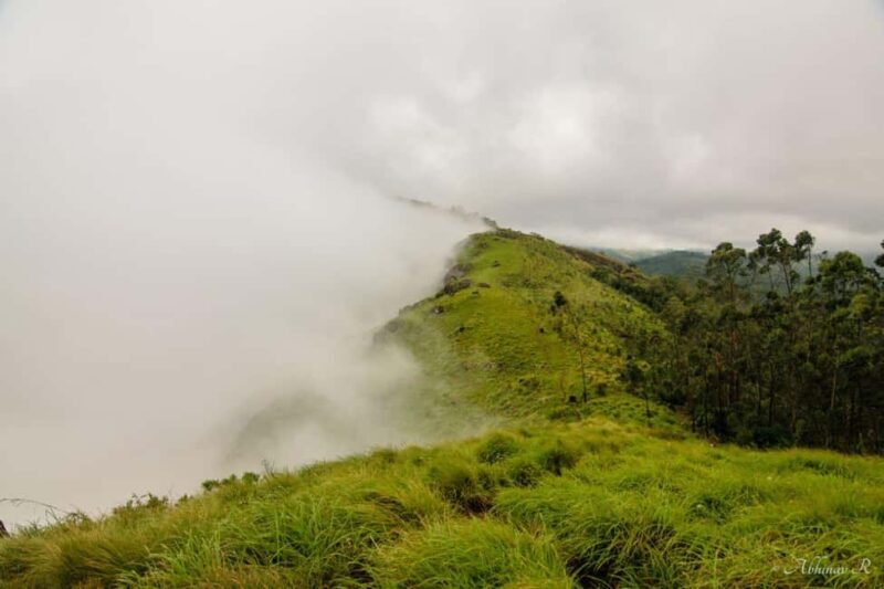 From Kochi:- 02 Days Munnar Hill Station & Nature Walk Tour - FAQs