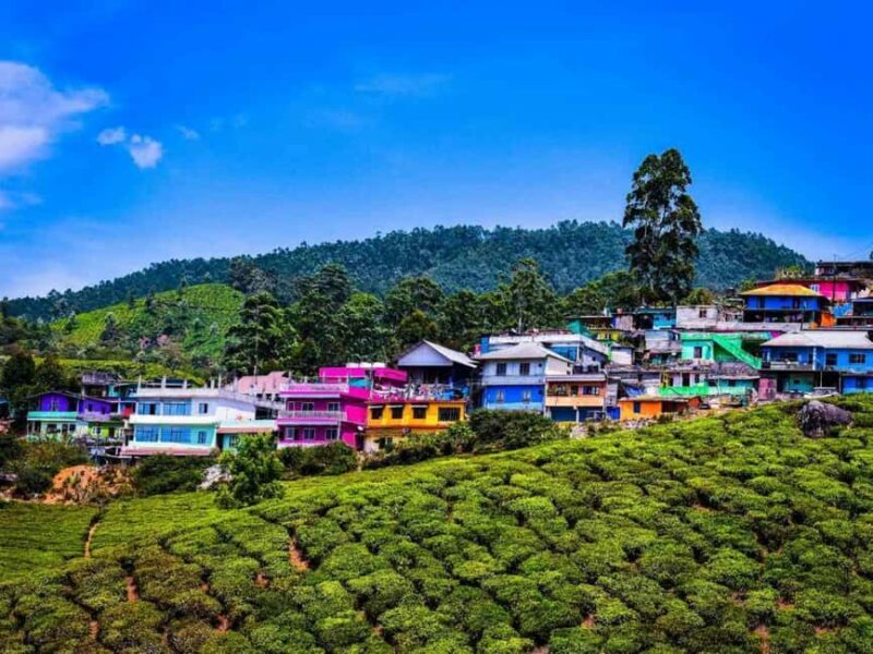 From Kochi:- 02 Days, Munnar Nature Beauty Hill Station Tour - A Closer Look at the Munnar Hill Station Tour