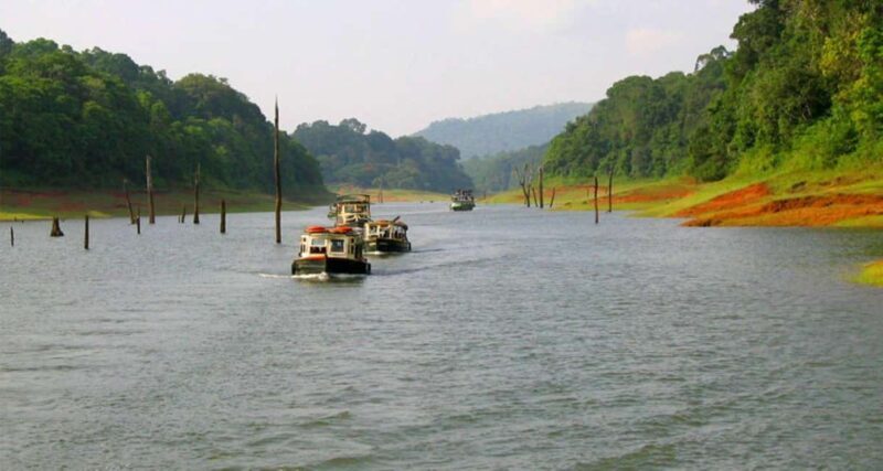 From Kochi:- 02 Days Periyar Wildlife Tour with Nature Walk - The Jewel of the Trip: Periyar Lake Boat Cruise