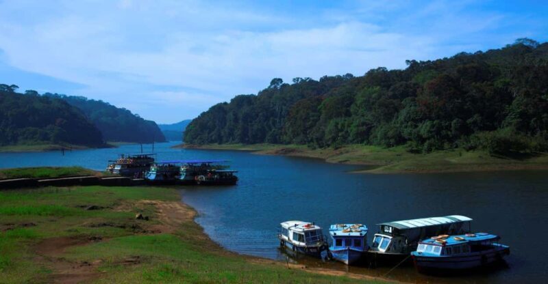 From Kochi:- 02 Days Periyar Wildlife Tour with Nature Walk - Authentic Encounters and Insights