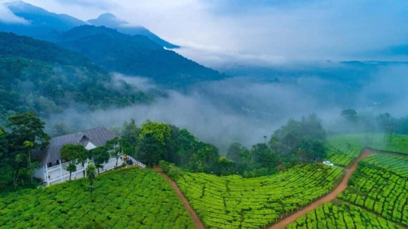 From Kochi:- 03 Days Cochin with Munnar Hill Station Tour - FAQ