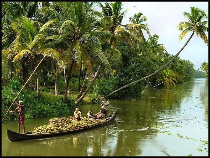 From Kochi: 2-Day 1-Night Alappuzha Private Houseboat Cruise - Who Will Love This Tour?