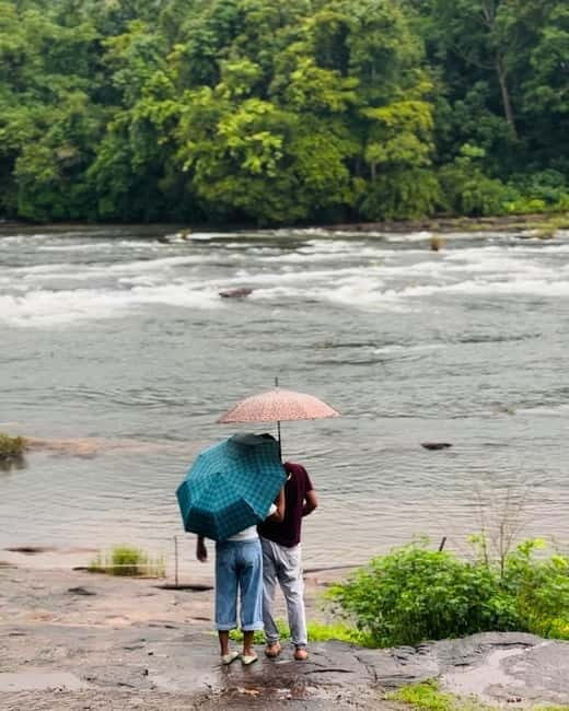 From Kochi: Athirappilly Waterfalls Day Trip with Transfers - An In-Depth Look at the Tour Experience