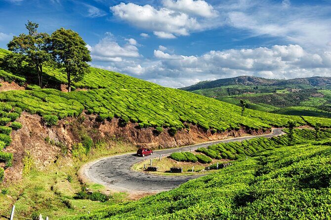 From Kochi: Day Tour to Munnar with Tea Garden and Waterfalls - The Scenery and Highlights of the Tour