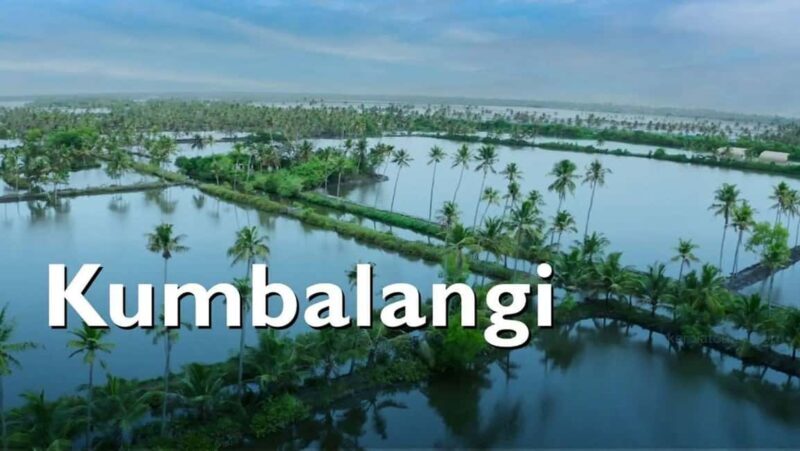 From Kochi: Kumbalangi Village Same Day Tour - FAQ