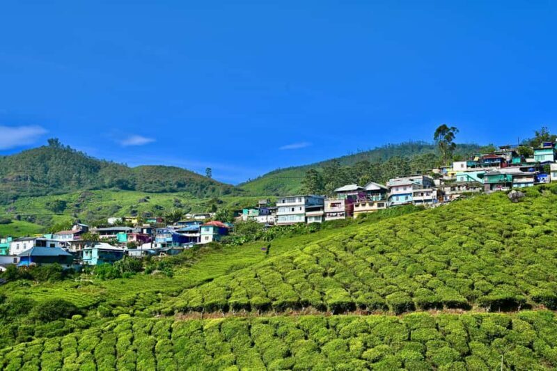 From Kochi: Munnar Hill Station Day Trip - Who Will Love This Tour?