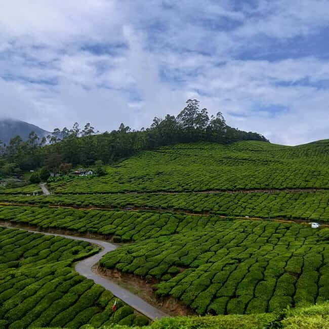 From Kochi: Munnar Hill Station Day Trip - Final Thoughts