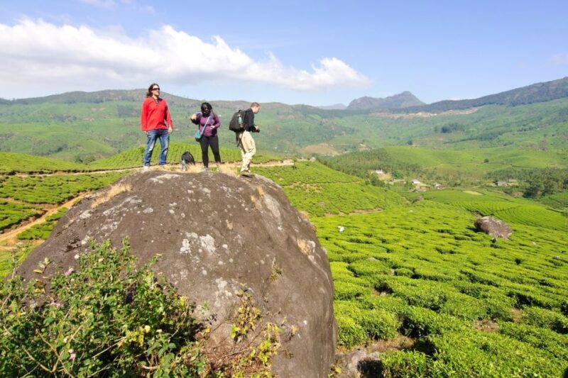 From Kochi: Munnar & Tea Museum Private Guided Tour - Practical Details and What You Need to Know