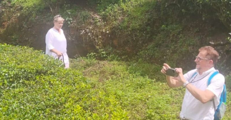 From Kochi: Munnar & Tea Museum Private Guided Tour - Final Thoughts: Who Will Love This Tour?