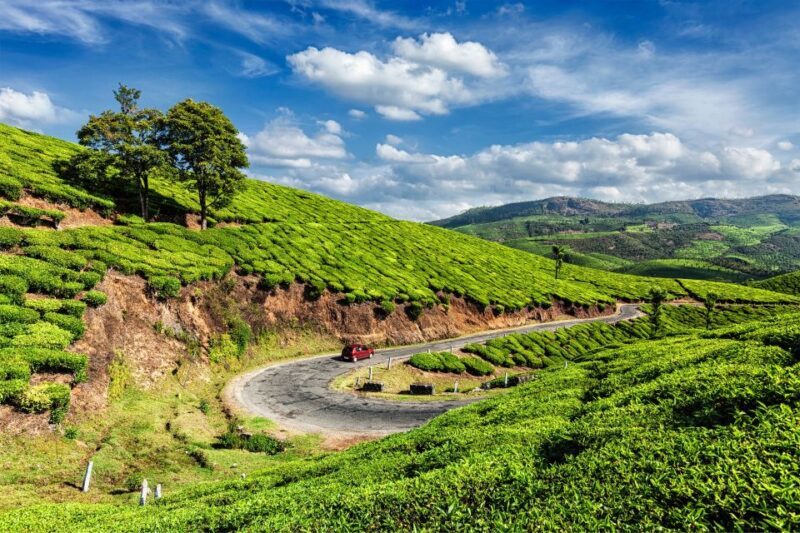 From Kochi: Munnar & Tea Museum Private Guided Tour - FAQ
