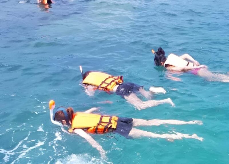 From Koh Samui: Pink Dolphin Boat Tour to Khanom with Lunch - The Experience: Pros and Cons