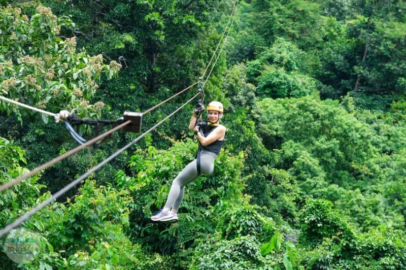 From Koh Samui: Tree Bridge Zipline & Café Adventure - The Experience in Context: Is It Worth It?