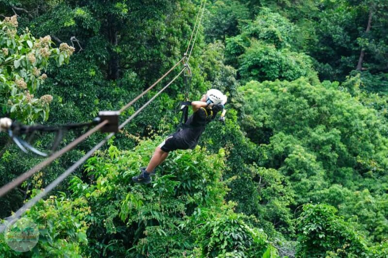 From Koh Samui: Tree Bridge Zipline & Café Adventure - The Sum Up