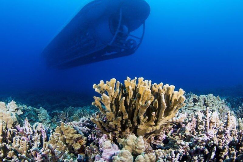 from-kona-big-island-underwater-submarine-adventure