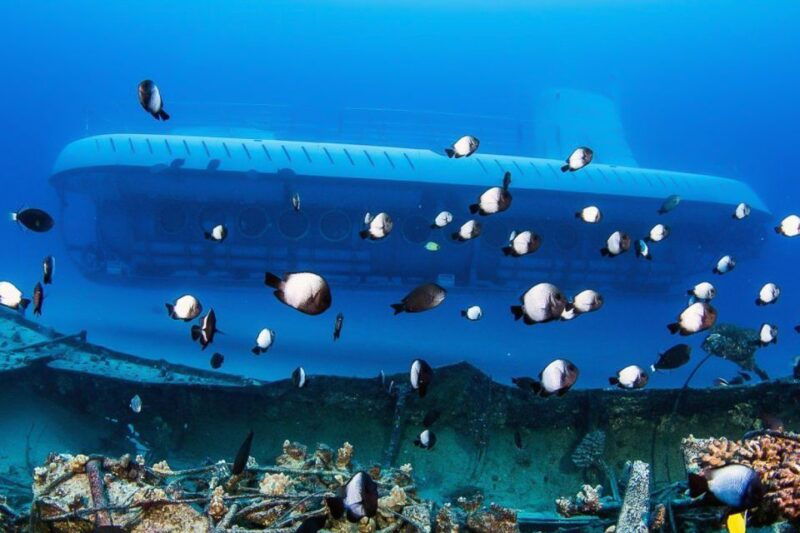 from-kona-big-island-underwater-submarine-adventure