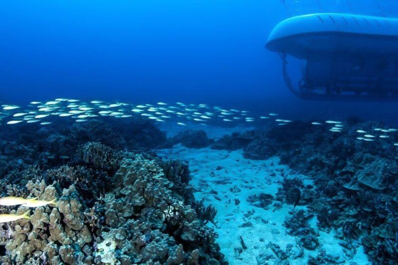 from-kona-big-island-underwater-submarine-adventure