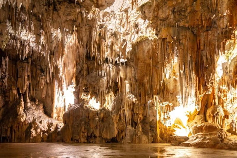From Koper: Postojna Cave and Ljubljana Guided Tour - Discovering Ljubljana